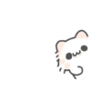 Myaowl cat  5