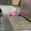 Gatos 2 14