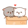Kucing bucin 6