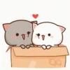 New Peach Goma gif 7