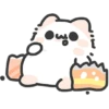 Myaowl cat  9