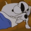 Snoopy 🐶 6