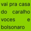 vai pra casa do caralho voces bolsonaro e