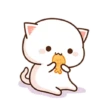 Gatinho apaixonado 2 17