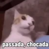 passada, chocada
