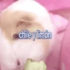 Pozole Pozolito TikTok 15