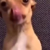 Animados Random 49 🫵😝 7