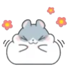 Hámster Kawaii💕🐹 27