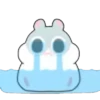 Hámster Kawaii💕🐹 8