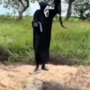 Novas do Amostradinho 💀🤣 11
