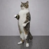 Michis Tóxicos Vol. 1 🐱💣 4