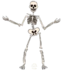 Dancing Skeleton