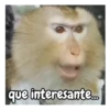 que interesante..
