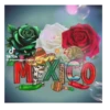ل TikTok @armandogarciamarts MEXICO