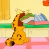 Garfield 16