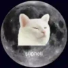 Şüpheli
