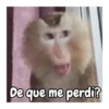 De que me perdi?