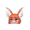 Feneko Amy 🦊 Animados 15