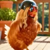 Dance,Gallinas virales TikTok🐔 7