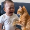 Choro de Bebezinhos 28