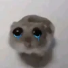 Mood molestar 13