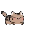 Animasi kucing lucu 5