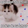💓🐱Michis Para Tu Amorcito🐱💓 9