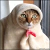 Animated stickers 13
