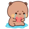Yier 🐼 Dudu 🐻 6