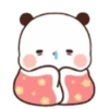 Ositos Cariñosos Dudu Bubu 🐻🐼 12