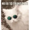 HJ EU TÔ TRANSANTE