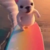 Perro pibble dog tiktok 16