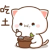 Peach goma lagi 19