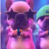Perro Pibble Viral✨🐾 14