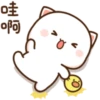 Kucing putih 11