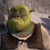 💚•SHREK~GIFS•💚 5