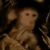 🐒 Macaco | Deboche Sincerão 16