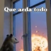🧿 Tlacuache/ zariguella mov🦡 9