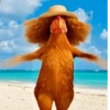 Dance,Gallinas virales TikTok🐔 5