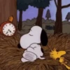 🦴🏠 SNOOPY 12 🏠🦴 11