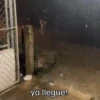 Lluvia  7