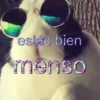✨️🎵📋 • FRASES TIKTOK • 📋🎵✨️ 11