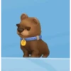 🗣️TikTok perros Pal chat🐶🐾🐕 8