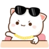 Kucing putih 17