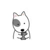 I'M CUTE BULL TERRIER🐾✨ 12
