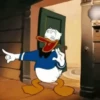 Pato Donald Time🦆✨ 18