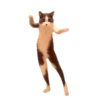 Meme Kucing Viral #2 🐱 17