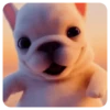 Perro Pibble~🐶🐾 2 12