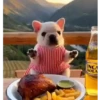 Perro Pibble Viral✨🐾 7