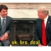 ok, bro. deal.